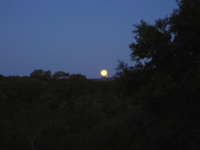 2004/05 May/IMG_0765.JPG